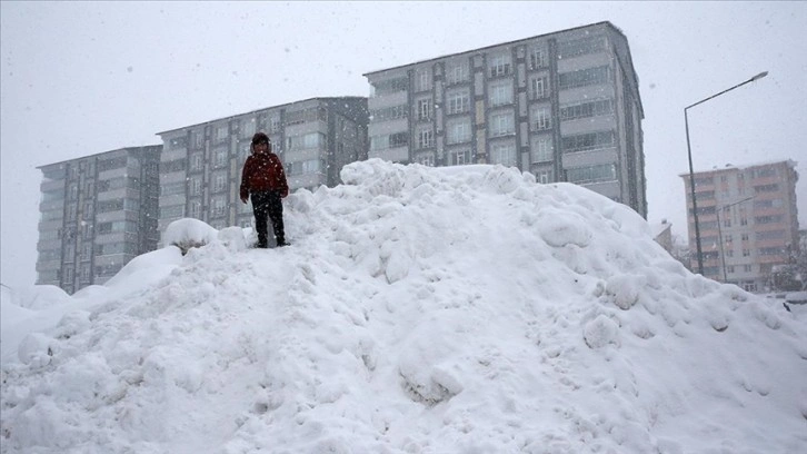 Muş, Diyarbakır, Şanlıurfa ve Bitlis'te okullara kar tatili