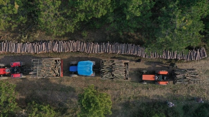 Ormanlarda bakım çalışmalarından elde edilen odunlar orman köylüsüne 
