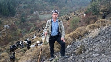 Ağılı şehir içinde kalan çoban, 40 yıldır sürüsünün güzergahını değiştirmedi