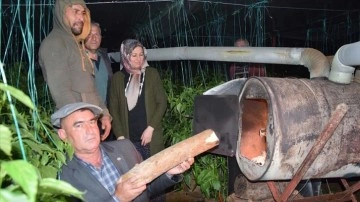 Antalya'da çiftçiler zirai don nöbeti tutuyor