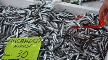 Batı Karadeniz'de tezgahlar balıklarla şenlendi