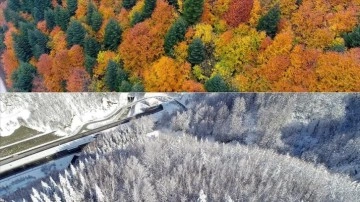 Batı Karadeniz'deki ormanlarda iki mevsim tek karede