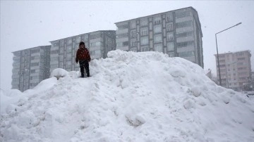 Bingöl, Muş, Diyarbakır, Şanlıurfa ve Bitlis'te okullara kar tatili