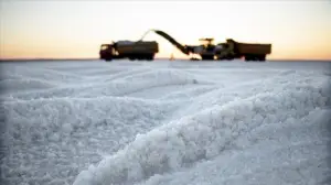 Bir paletle başladıkları tuz ihracatını 70 ülkede 200 bin palete çıkardılar