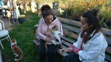 Bolulu hayvansever işçi, yaralı kedileri tedavi ettirip sahipleniyor