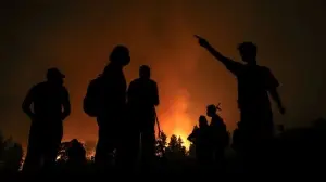 Cezayir'de 42 kişinin ölümüyle sonuçlanan orman yangınlarında bilanço ağırlaşıyor