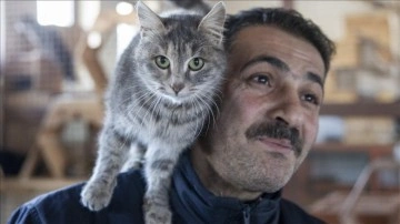 Dondurucu soğukların yaşandığı Erzurum'da sahipsiz hayvanlara "sıcak yuva" imkanı
