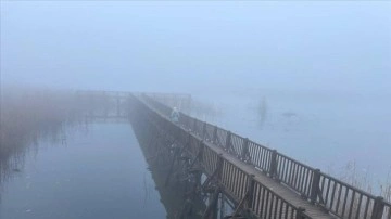 Efteni Gölü Kuş Cenneti'nde sis etkili oluyor