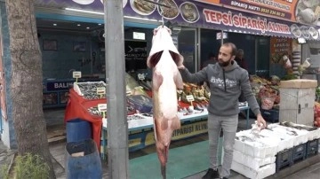 Elazığlı balıkçı 128 kilogram ağırlığında turna balığı yakaladı