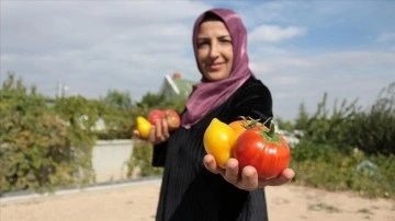 Evinin bahçesinde "ata tohumu" yetiştiren kadın girişimci kooperatif kurdu
