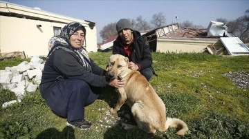 Hataylı Genco ailesini deprem gecesi köpekleri "Çilek" güvenli bölgeye çıkardı
