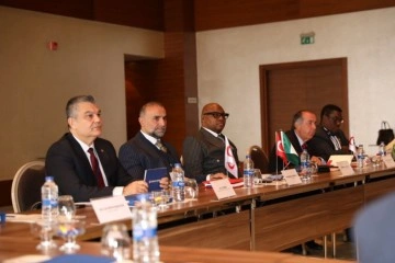 İstanbul'da Türkiye-Afrika Ticaret ve Yatırım Konseyi Sigortacılık Zirvesi düzenlendi