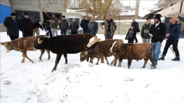 Kars'ta çiftçiler hayvanlarını satıp gelirini depremzedelere bağışladı
