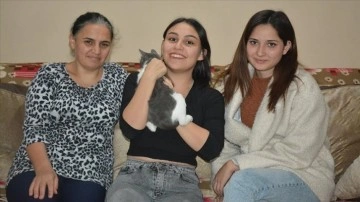 Manisa'da lise öğrencileri yaralı kedi yavrusu için seferber oldu