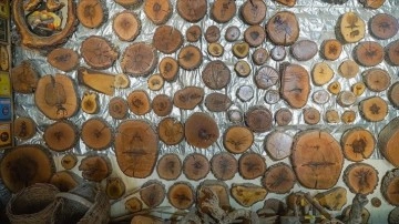 Marangoz içinde farklı şekiller bulunan ağaçlardan koleksiyon oluşturdu