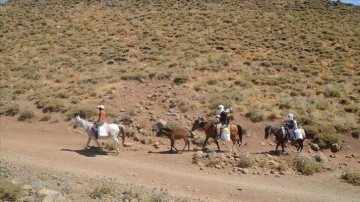 Muş'ta berivanlar hayvanlarını sağmak için at sırtında kilometrelerce yol kat ediyor