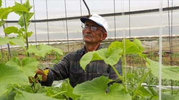 "Örnek çiftçi" ata tohumunu gelecek nesillere aktarmak için mücadele ediyor