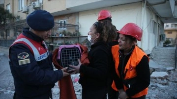 Osmaniye'de depremin 8'inci gününde hasar gören apartmanda mahsur kalan kedi kurtarıldı