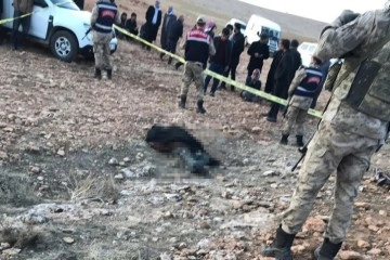 Şanlıurfa'da 1 kişinin öldüğü arazi kavgasında 4 gözaltı