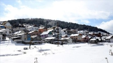 Sivas'ta çam ağaçlarıyla kaplı Eğriçimen Yaylası'na kar yağdı