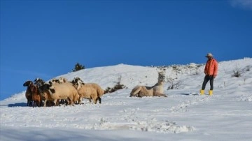 Tunceli'nin köylerinde zorlu kış şartları hayatı olumsuz etkiliyor