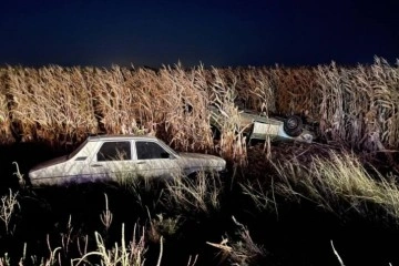 Zincirleme kazada çarpışan araçlar mısır tarlasına uçtu